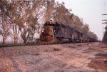 DRGW 5378 near Fresno